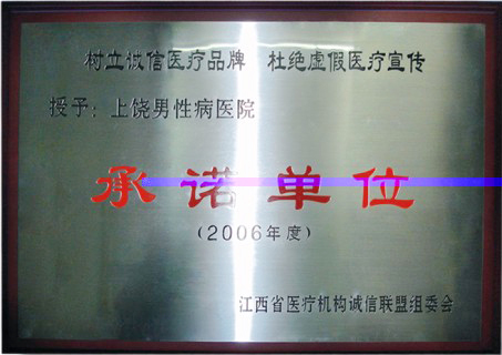 2006年度荣获承诺单位